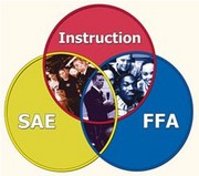 Section feature image